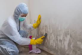 Best Mold Documentation for Insurance Claims  in Alderson, WV